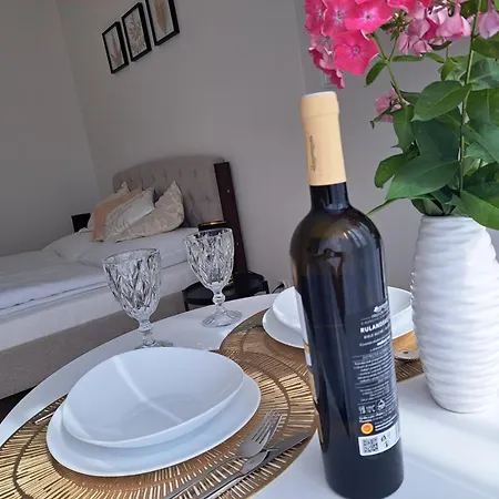 Karpatia S Historickým Výkladom Apartamento *