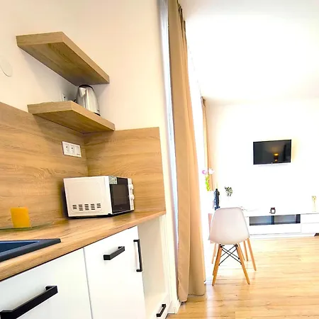 Apartamento Karpatia S Historickým Výkladom *